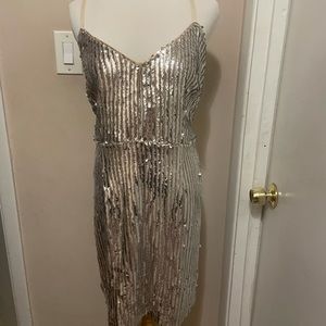 Sparkle plus dress